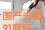 国产夫妻91,揭秘国产影视行业中的甜蜜与挑战